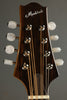 KR Strings Octolindo F Artist Octave Mandolin New