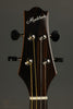 KR Strings Mandolindo Scholar Mandolin New