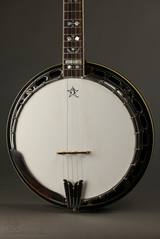 2010 Gold Tone OB-250 5-String Banjo Used