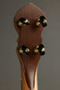Waldman Chromatic Step 5-String Open Back Banjo New
