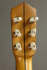 1914 Fairbanks by Vega Little Wonder Guitar Banjo Used