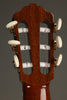 2009 Brian Burns Classical Guitar Used