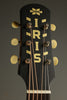2023 Iris DF Model Acoustic Guitar Used
