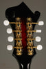 2021 Washburn Americana M3SWE Acoustic Electric Mandolin - Used