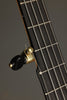 Waldman Cello 5-string Banjo - New