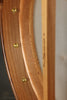 Waldman Cello 5-string Banjo - New