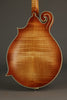 2014 Michael Kelly Legacy Dragonfly Mandolin- Used