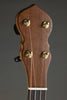 Waldman Chromatic Step 5-String Open Back Banjo - New