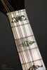Circa 1900 C. De Julio Bowl-Back Mandolin - Used