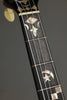 1889 S.S. Stewart Universal Favorite #3 5-String Banjo - Used
