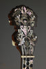 Circa 1894 S.S. Stewart Special Thoroughbred Presentation 5-String Banjo - Used
