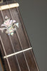 Circa 1915 Orpheum No. 2 5-string Banjo Used