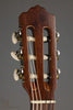 2009 Oceana Requinto - Used