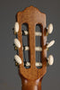 2009 Oceana Requinto - Used