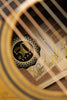 Taylor 50th Anniversary 314ce LTD Acoustic Electric Guitar - New