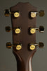 Taylor 50th Anniversary 314ce LTD Acoustic Electric Guitar - New