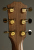 Taylor Guitars 50th Anniversary AD14ce-SB LTD Acoustic Electric Guitar New
