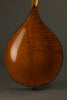 Northfield A5 Special NFMSP- A5 Mandolin - New