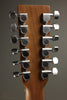 Martin D-X2E Brazilian 12 String Acoustic Guitar - New