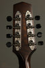 Northfield Mandolins NFM-M5 The Quickstep Mandola - New