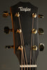 Taylor 50th Anniversary 217-e SB Plus LTD Acoustic Electric Guitar - New