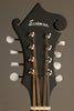 Eastman MDA315 Mandola - New
