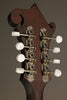 Eastman MDA315 Mandola - New