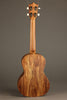 Martin T1K Tenor Ukulele - New