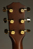 Taylor Guitars 50th Anniversary 314ce LTD Acoustic Electric Guitar - New