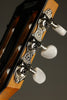Taylor 812ce-N Nylon String Acoustic Electric Guitar - New