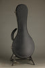 Collings MT Gloss Top Mandolin - New