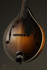 Collings MT Gloss Top Mandolin - New