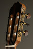Kremona Verea Nylon String Acoustic Electric Guitar - New