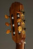 Kremona Sofia S63CW Nylon String Acoustic Electric Guitar - New