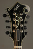 Northfield Artist Series NFA-F51IWN Italian Spruce Wide Nut Mandolin - New