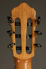 New World Estudio E650 Cedar Fingerstyle Classical - New