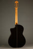 New World Estudio E650 Spruce Fingerstyle Classical Guitar - New