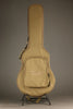 Taylor T5z Classic Semi-Hollow Electric - New