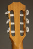 Taylor 214ce-N Nylon String Acoustic Electric Guitar - New