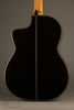 New World Player P650 Cedar Fingerstyle Classical Guitar - New
