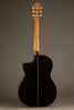 New World Player P650 Cedar Fingerstyle Classical Guitar - New