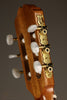 Kremona S65C Nylon String Acoustic Guitar - New