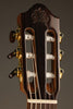 Kremona Fiesta FC Classical Guitar - New
