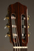 Kremona Rosa Morena Flamenco Guitar - New