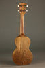 Martin C1K Concert Ukulele - New