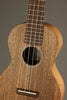 Martin C1K Concert Ukulele - New