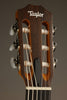 Taylor Academy 12e-N LTD Nylon String Acoustic Electric Guitar - New
