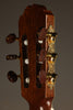 Kremona F65CW Nylon String Acoustic Electric Guitar - New
