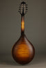 Collings MT Mandolin - New