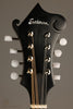 Eastman MD515CC/TV Mandolin in Classic Varnish Finish - New